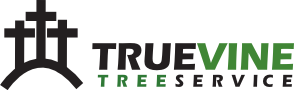 True Vine Tree Service Logo True Vine Tree Service Logo